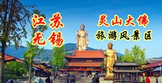 外国人肛交的视频在线播放江苏无锡灵山大佛旅游风景区